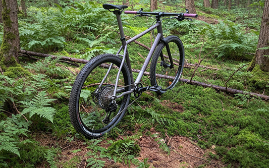 Customer Build: Titanium Gravel Bike in the Forest