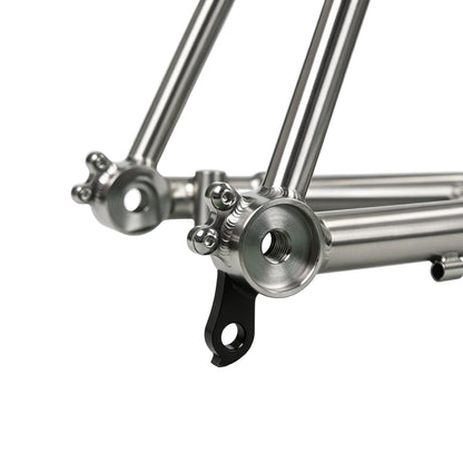 Titanium Gravel Frame