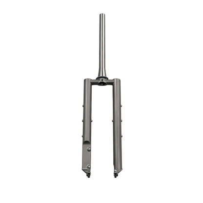 Titanium MTB Fork
