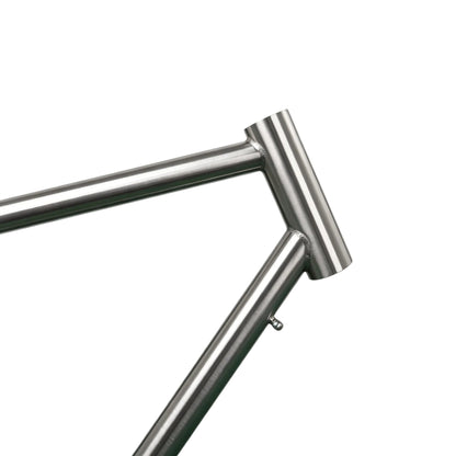 Titanium Gravel Frame