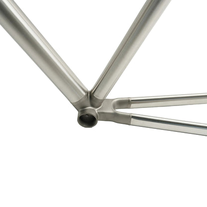 Titanium 3D Printed Track Frame