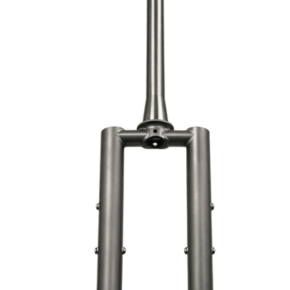 Titanium MTB Fork