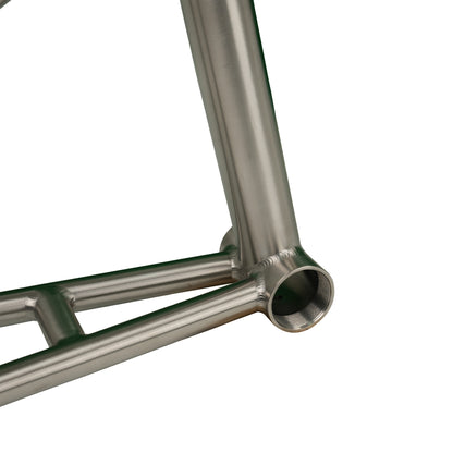 Titanium Folding Bike FD2609-10