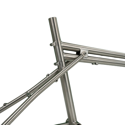 Titanium Folding Bike FD2609-10