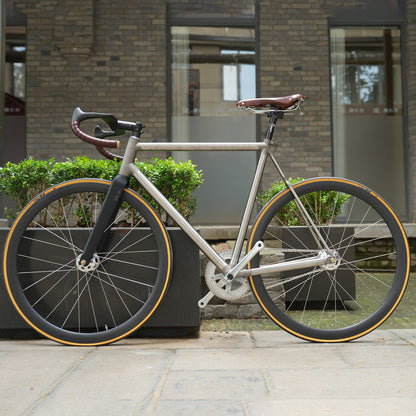 Titanium Fixed Gear Bike